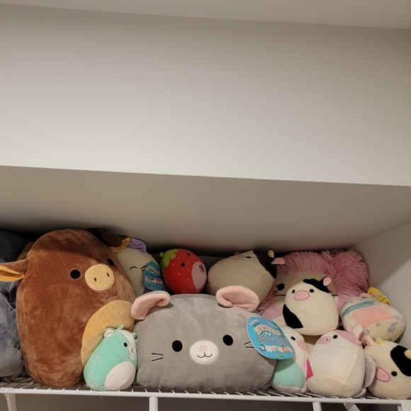 Squishmallows - Picture 1 of 5